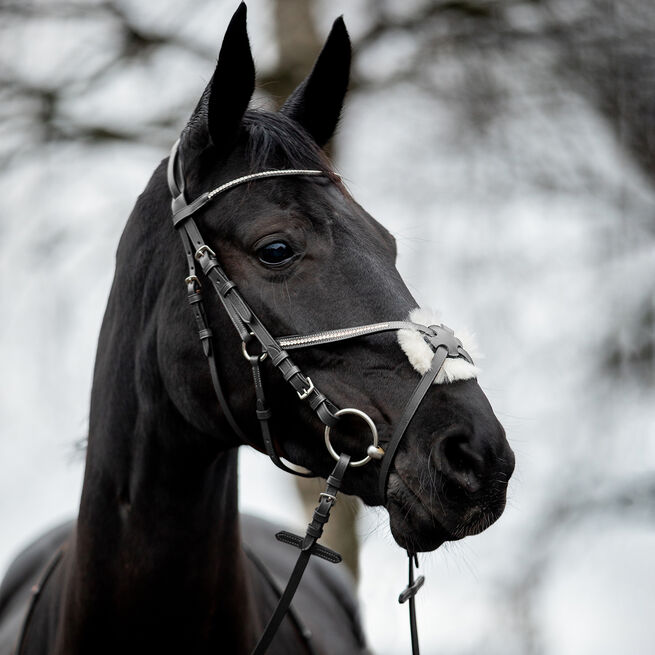 Bridon Mexicain Horze