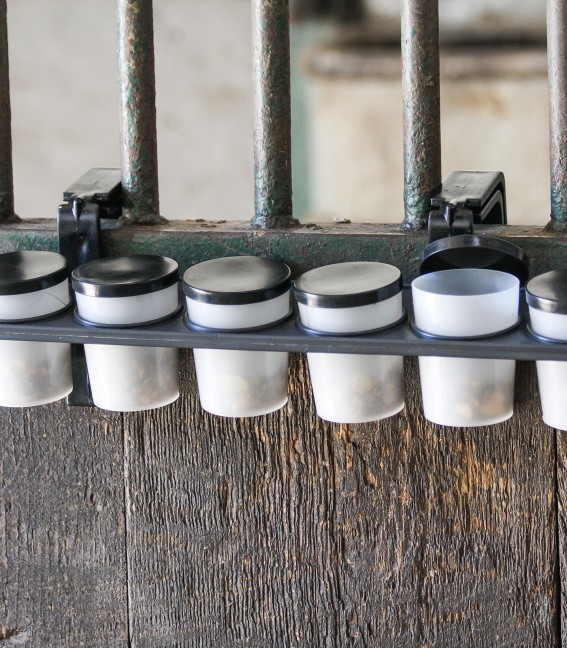 Pilulier alimentaire – Image 2