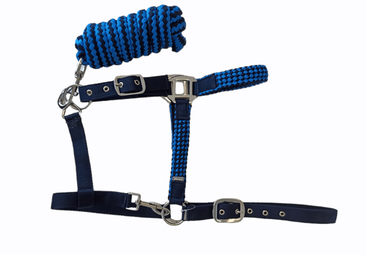 Licol + longe Chicago – Image 2