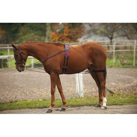 Enrênement à poulies