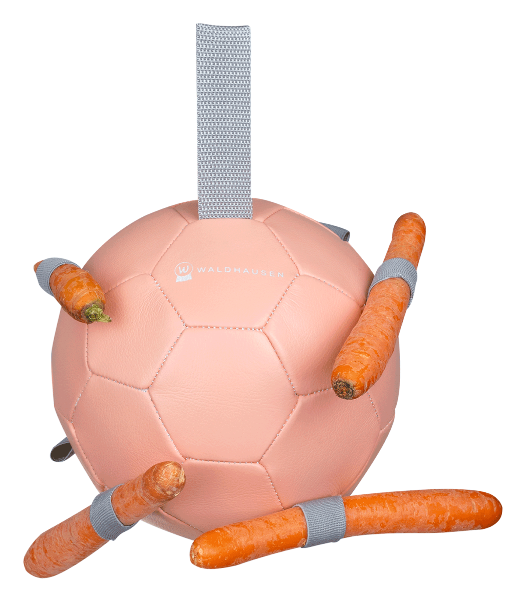 Balle à carottes – Image 2