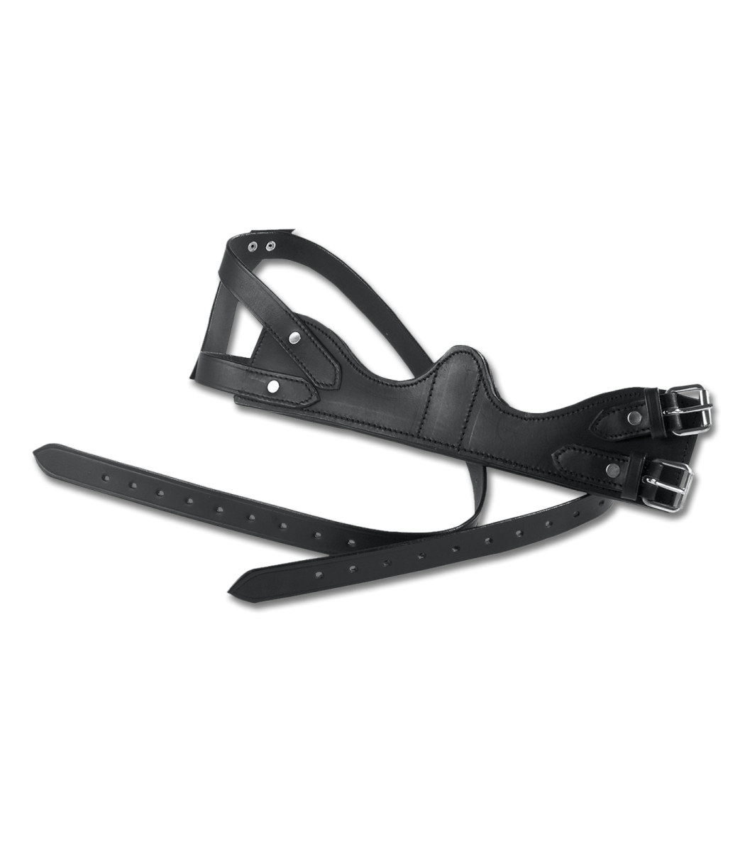 Collier anti-tiqueur