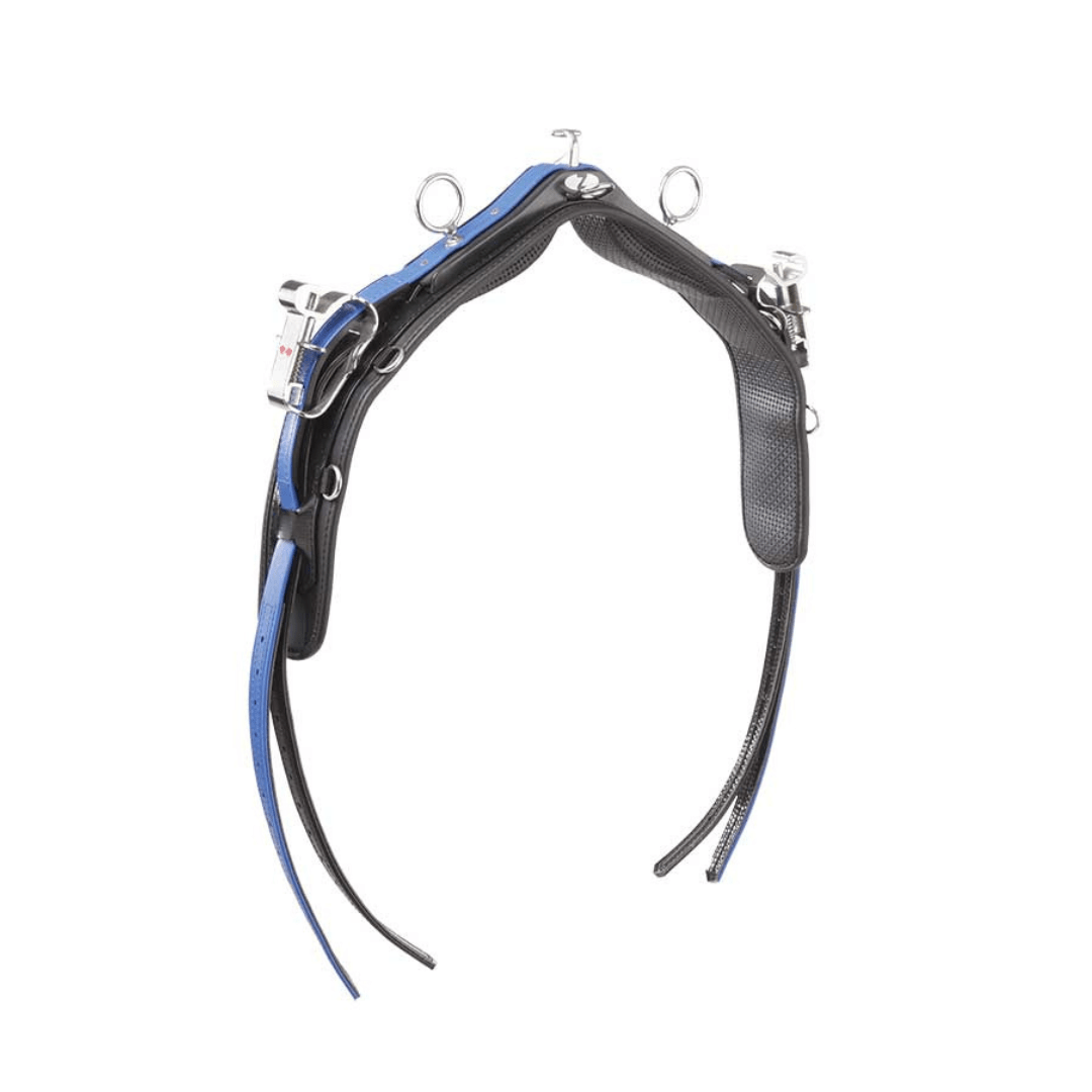 Sellette S5 – Image 7