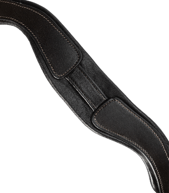 Bridon Goldheart – Image 3