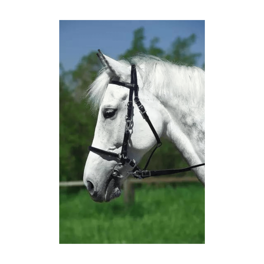 Bridon Licol Norton Synthétique – Image 7