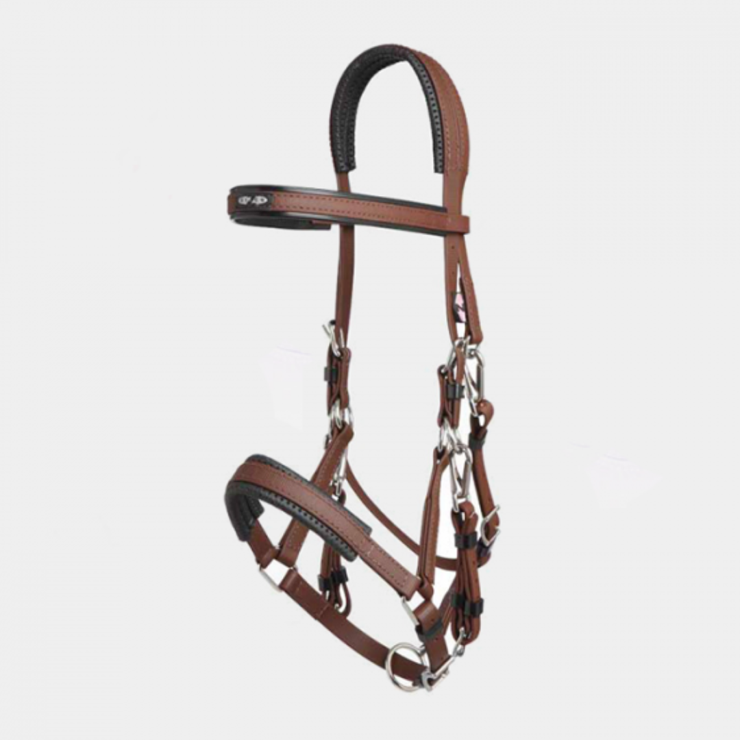 Bride marathon endurance – Image 4