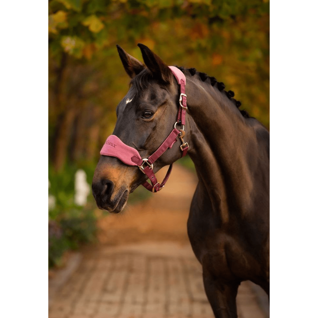 Licol + Longe Lemieux – Image 9