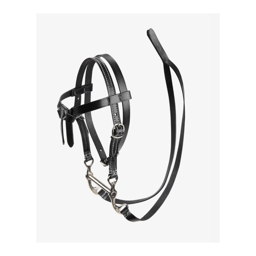 Mini filet western Lemieux – Image 4