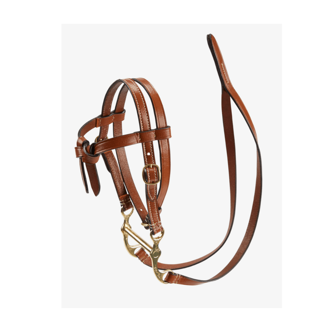 Mini filet western Lemieux – Image 2