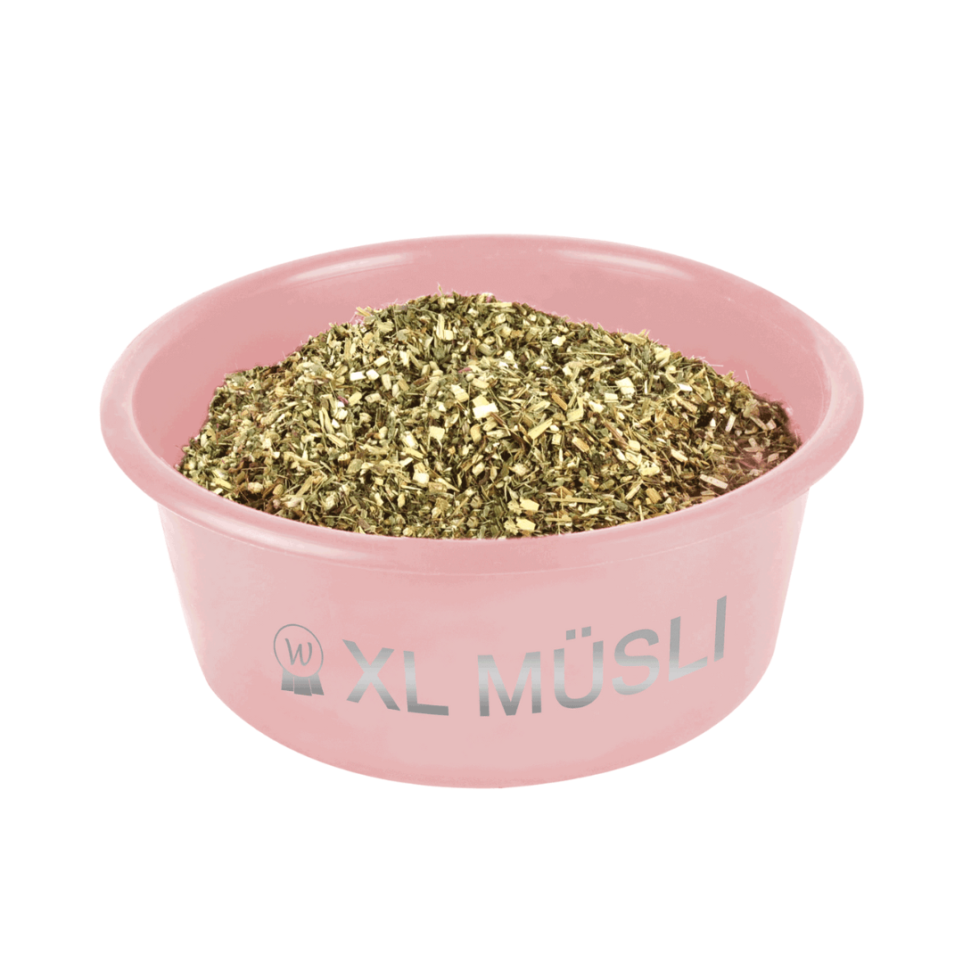 Seau avec couvercles XL muesli – Image 2