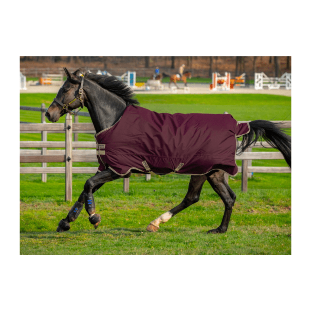 Couverture Amigo Hero 50gr