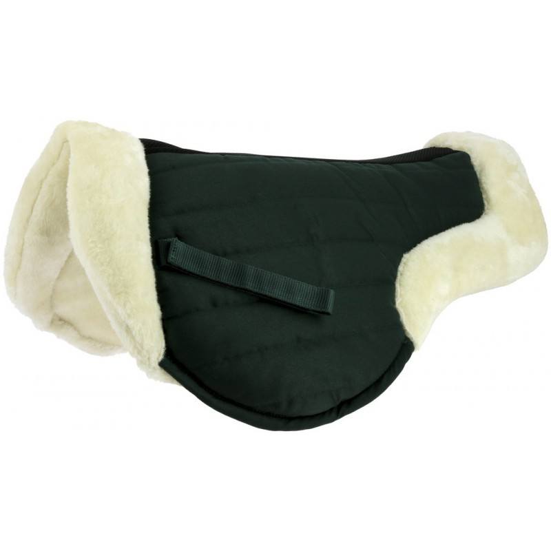 Amortisseur Cushion – Image 3