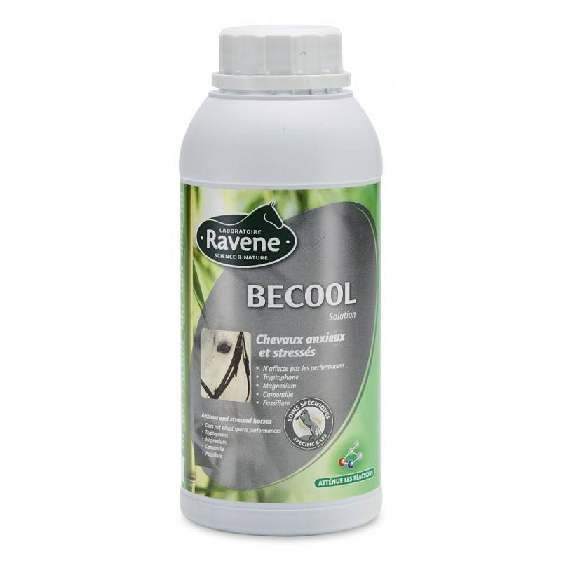 Becool