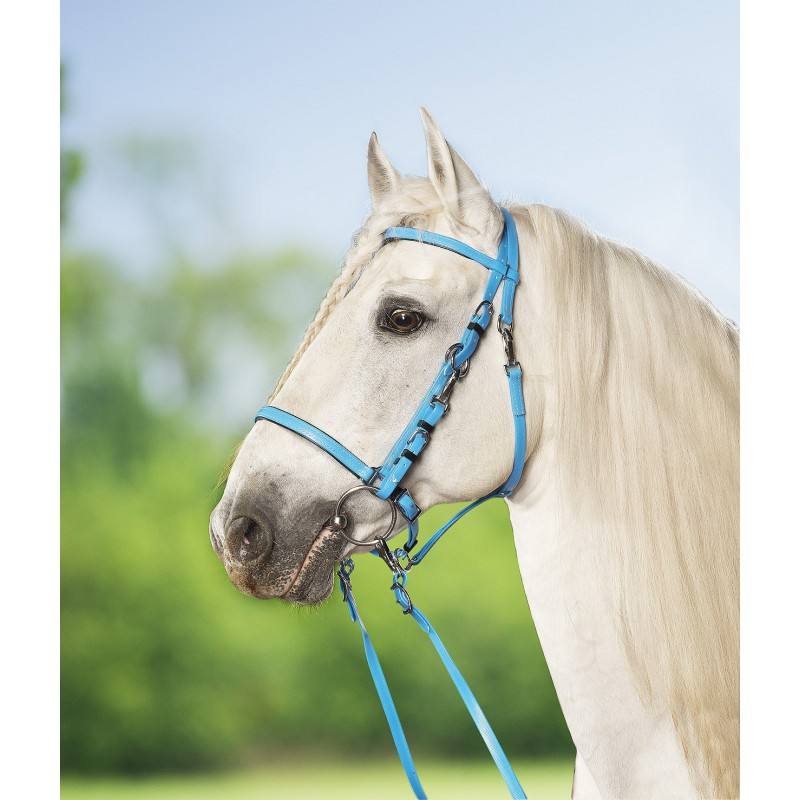 Bridon Licol Norton Synthétique – Image 6