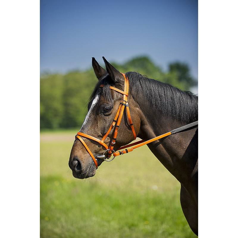Bridon Licol Norton Synthétique – Image 4