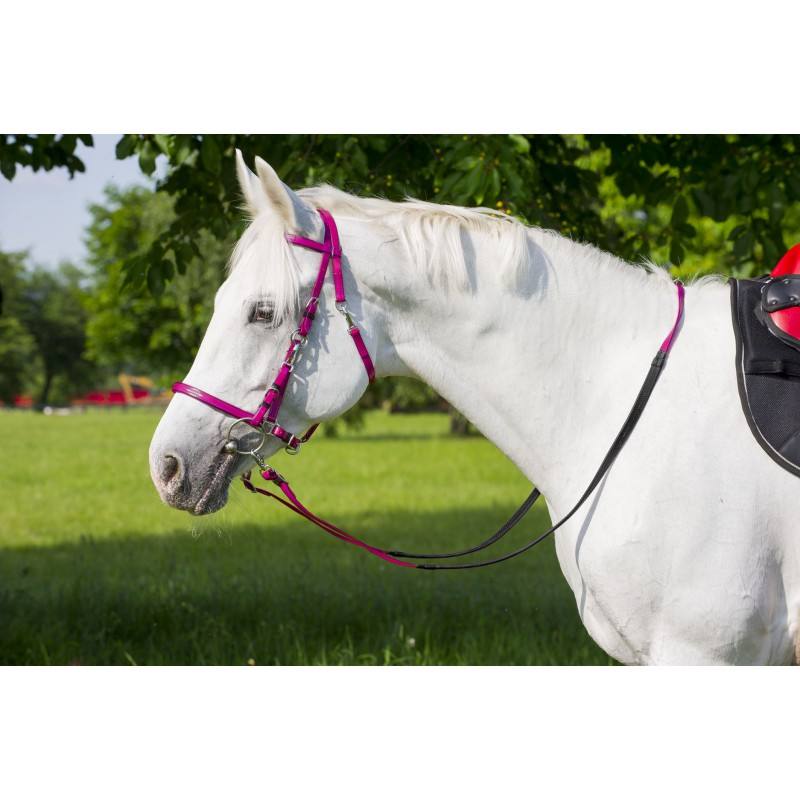 Bridon Licol Norton Synthétique – Image 3