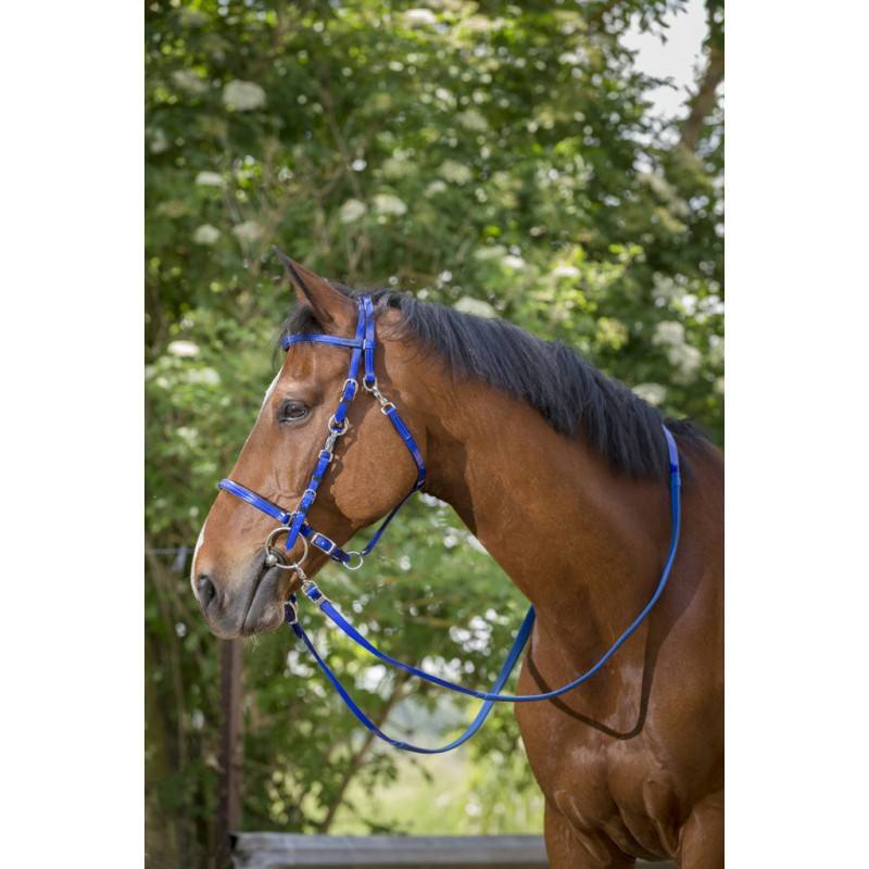 Bridon Licol Norton Synthétique – Image 2
