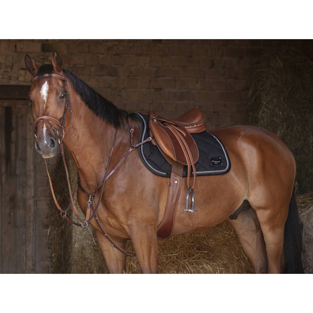 Bridon Eric Thomas Shine – Image 2