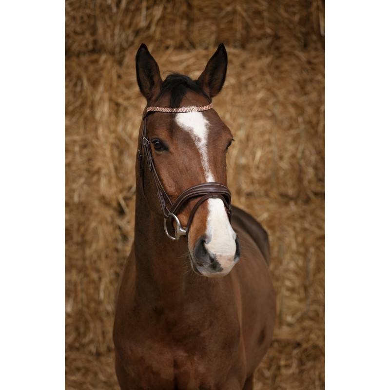 Bridon Norton Pro Brillant – Image 6