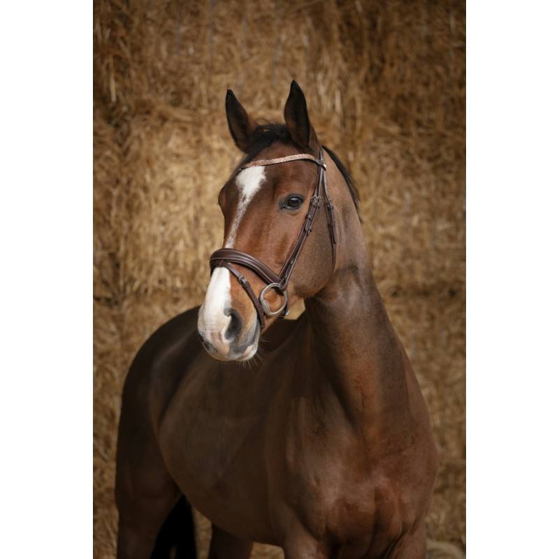 Bridon Norton Pro Brillant – Image 5