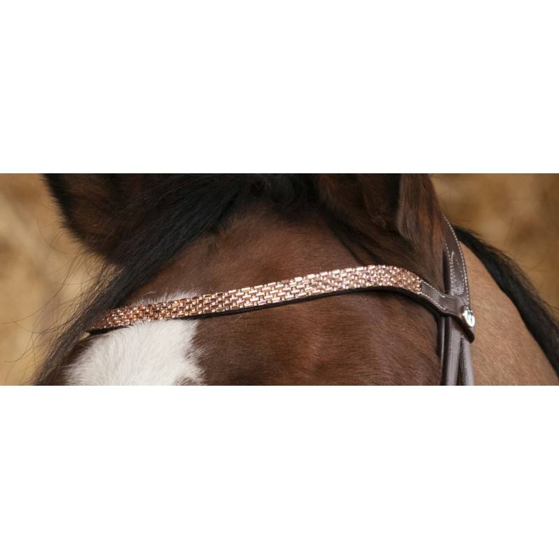 Bridon Norton Pro Brillant – Image 2