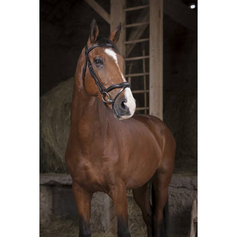 Bridon Norton Pro « Découpé » – Image 5