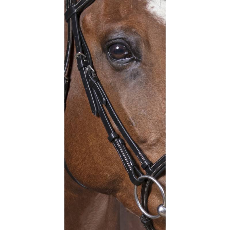 Bridon Norton Pro « Découpé » – Image 3