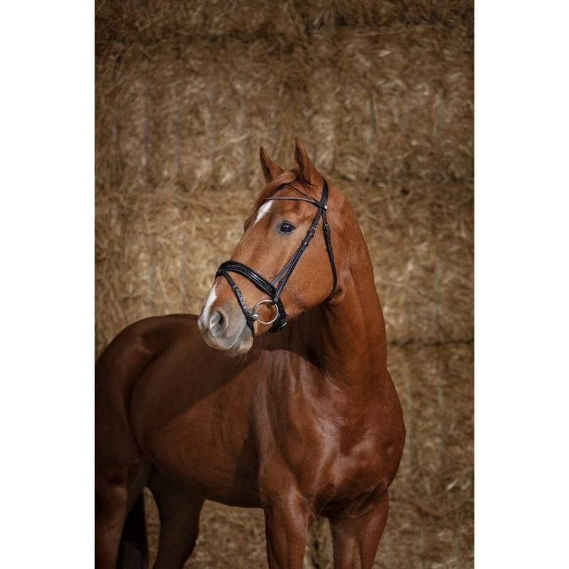 Bridon Norton Pro « Glam »