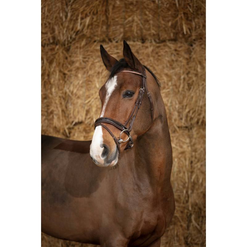 Bridon Norton Pro « Glam » – Image 5