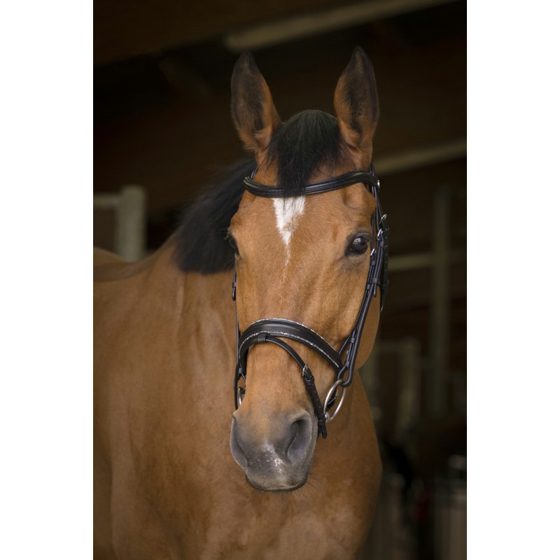 Bridon « Rock » Norton pro