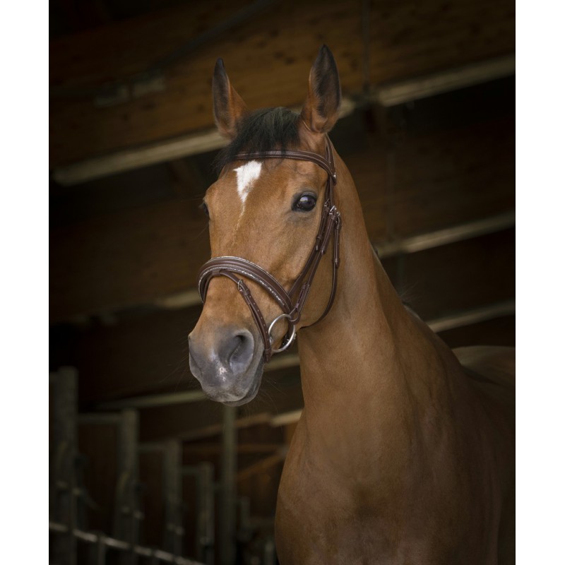 Bridon « Rock » Norton pro – Image 5