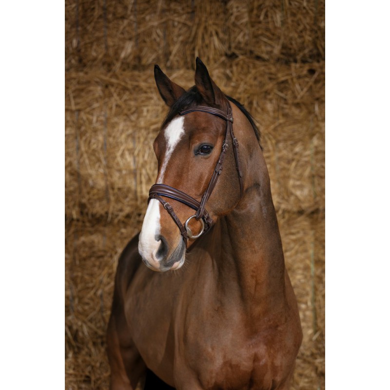 Bridon Norton pro « Satin » – Image 2