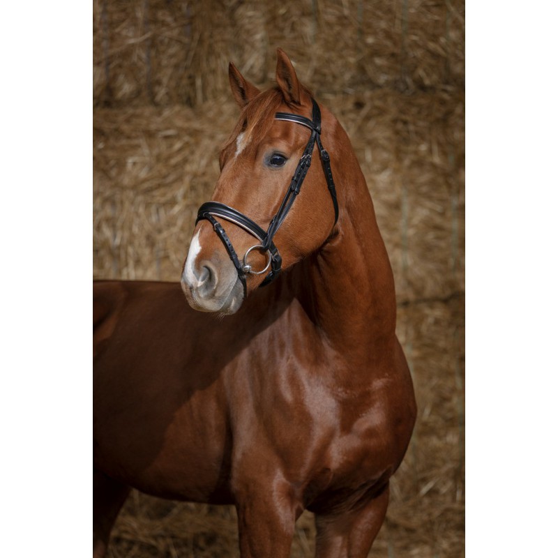 Bridon Norton pro « Satin »