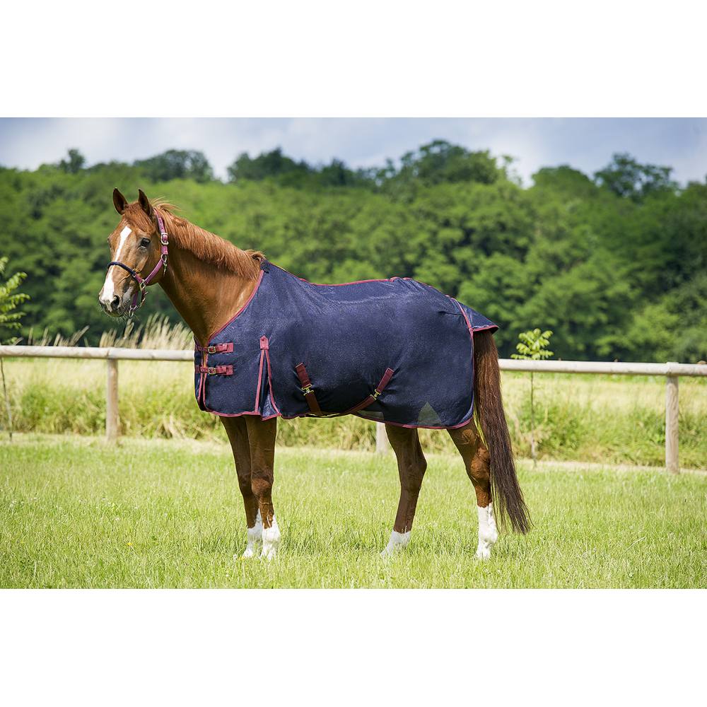 Chemise anti-mouches simple Equithème – Image 2