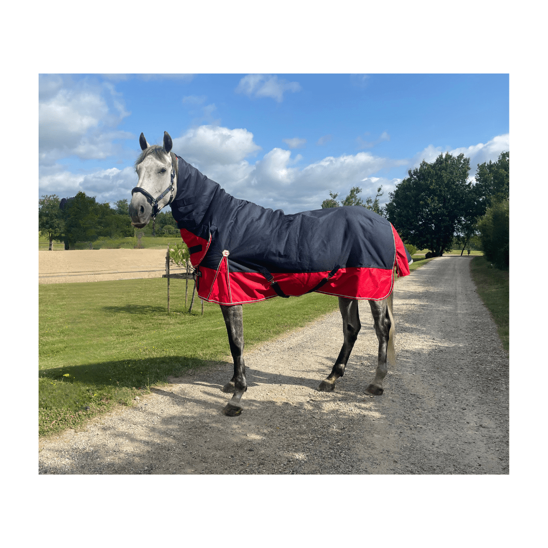 Couverture Equidagen Combo