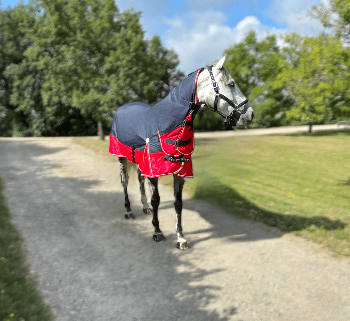 Couverture Equidagen Combo – Image 4