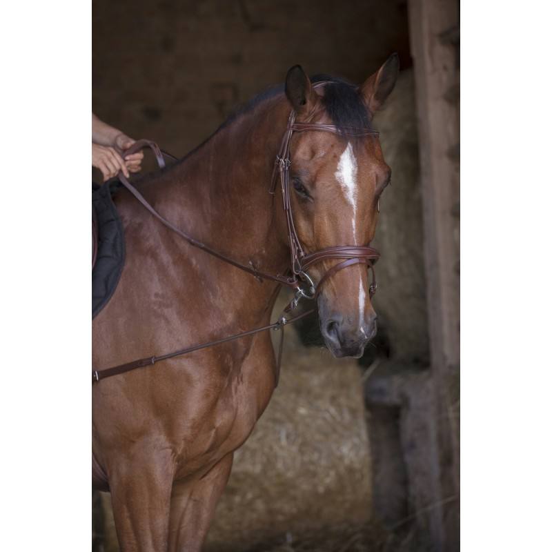 Enrênement élastique court/poulies – Image 4