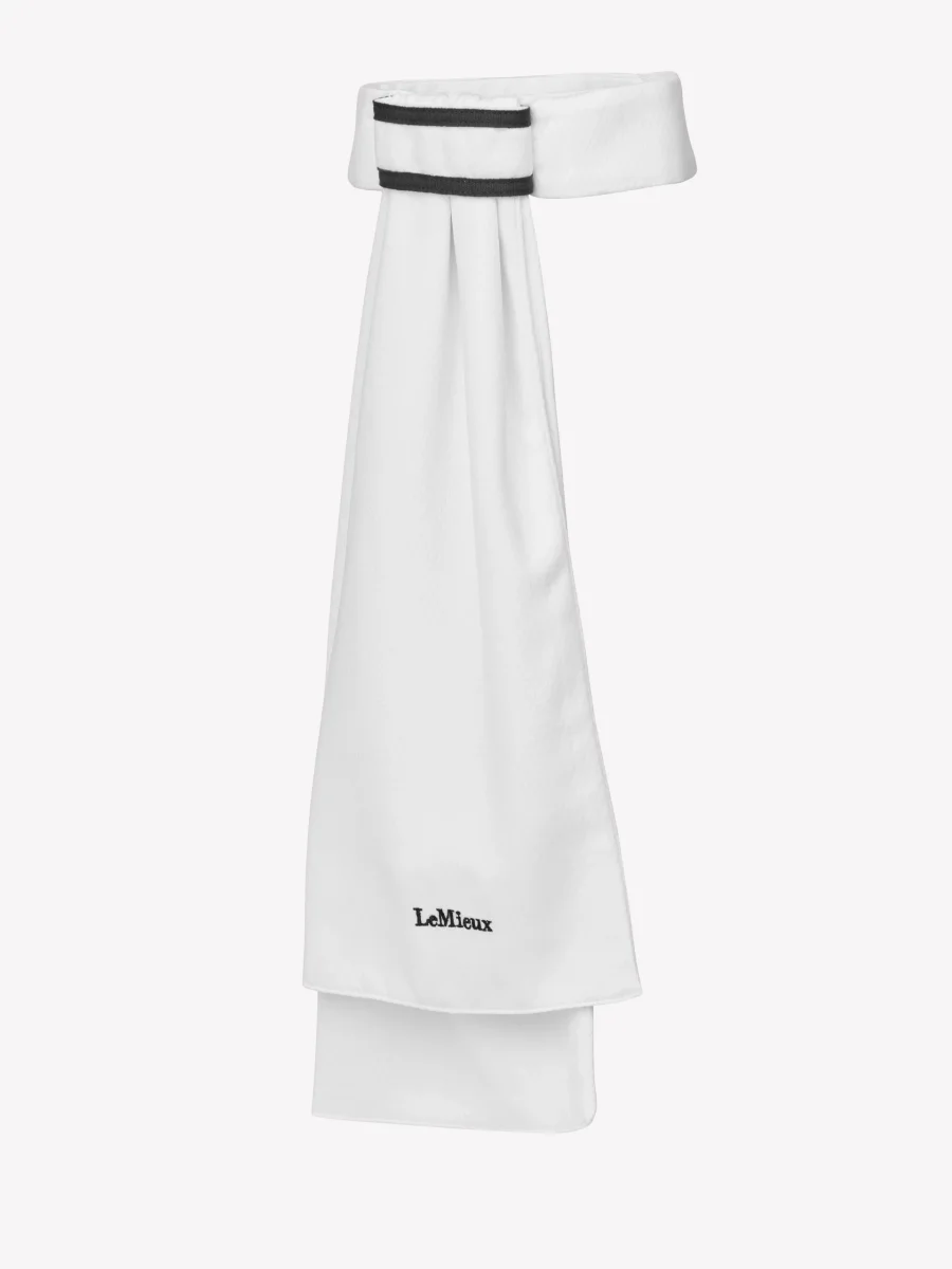 Cravate Sportive Lemieux – Image 2