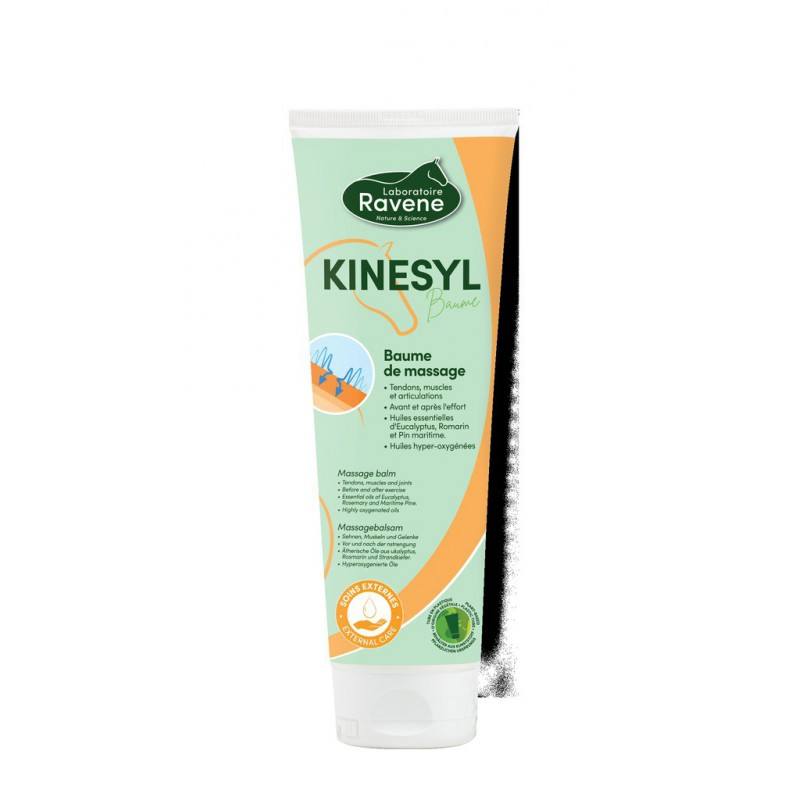 Kinesyl – Image 4