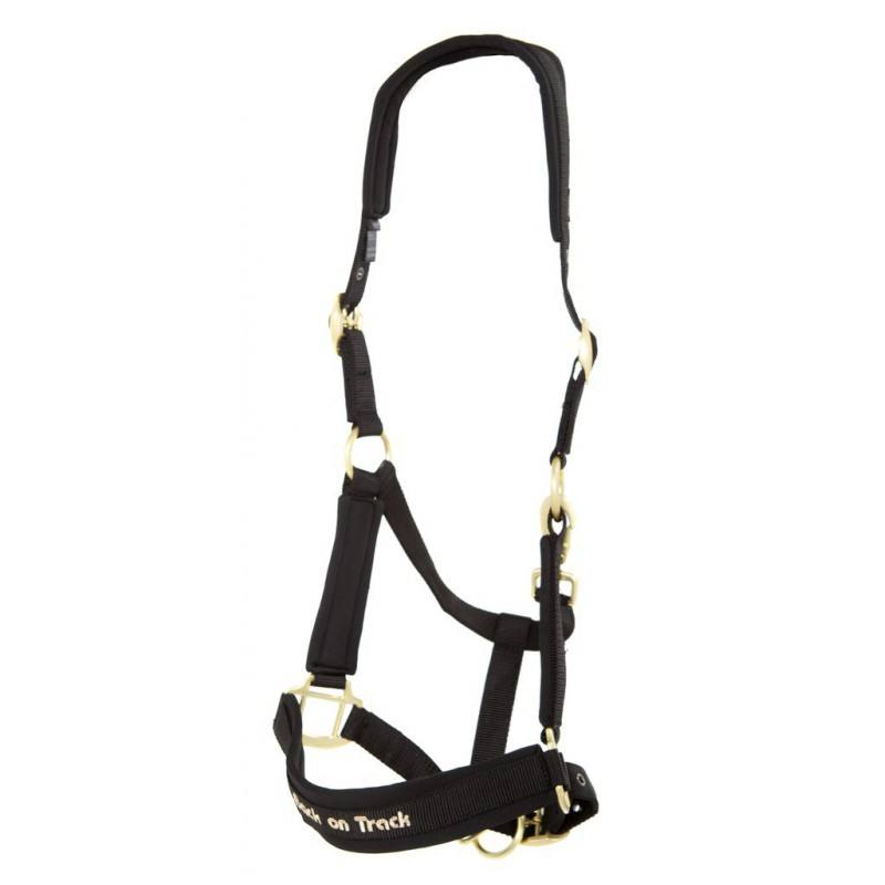 Licol Back on track Werano – Image 6