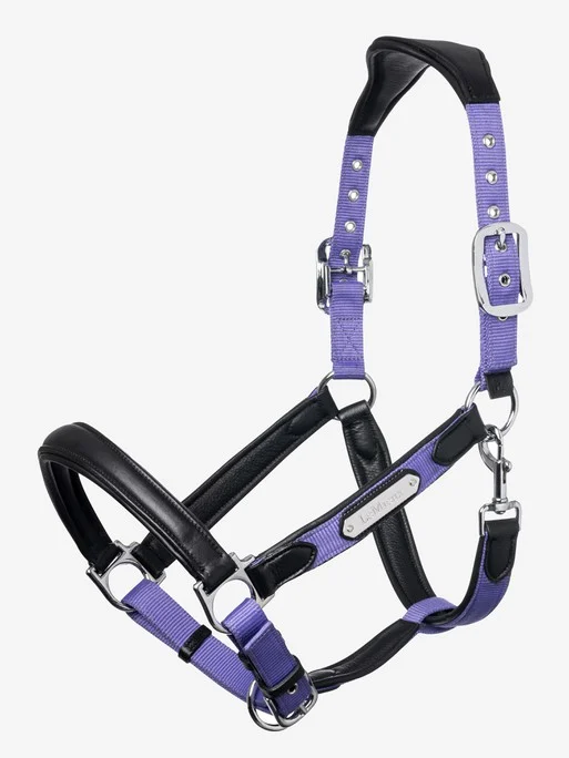 Licol Capella cuir Lemieux – Image 9