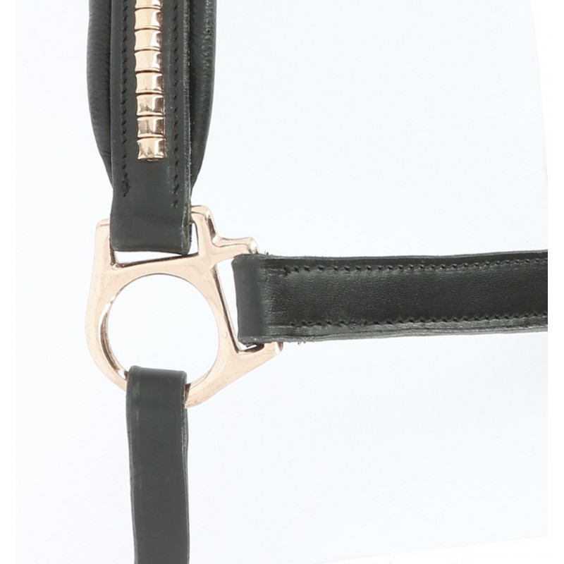 Licol cuir « Clincher » – Image 4