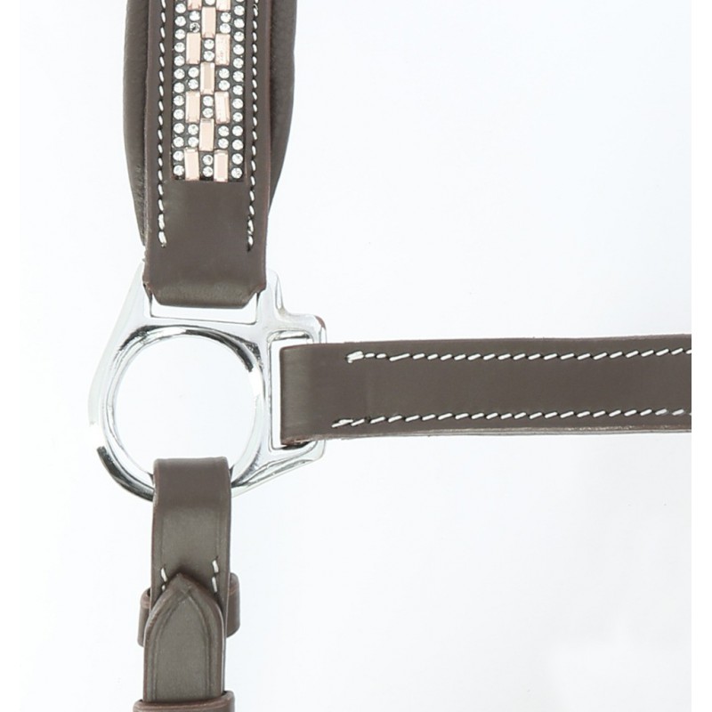 Licol cuir « Princesse » – Image 4